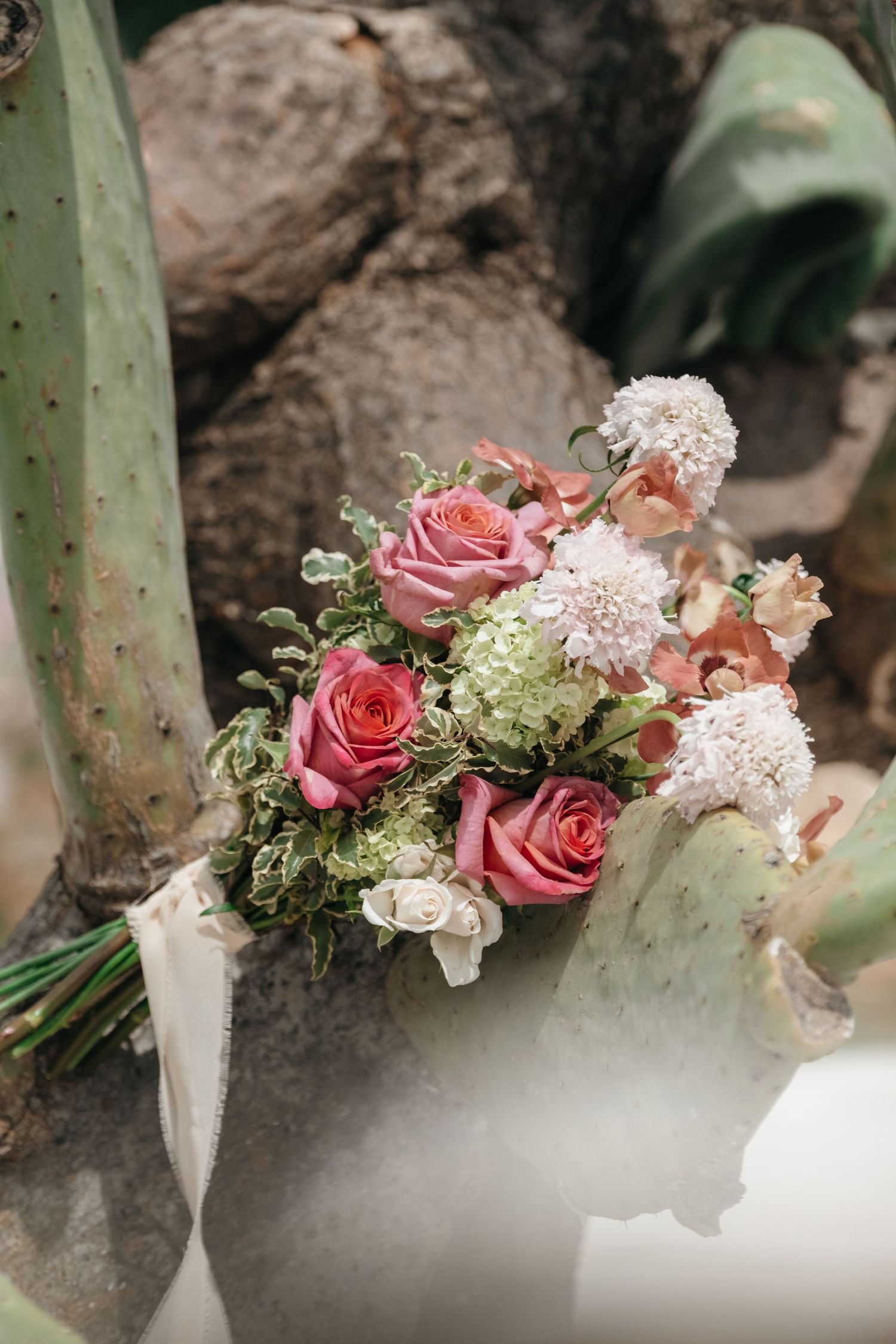 Romantic bridal bouquet with pink roses and white blooms resting on a cactus in a desert garden setting.