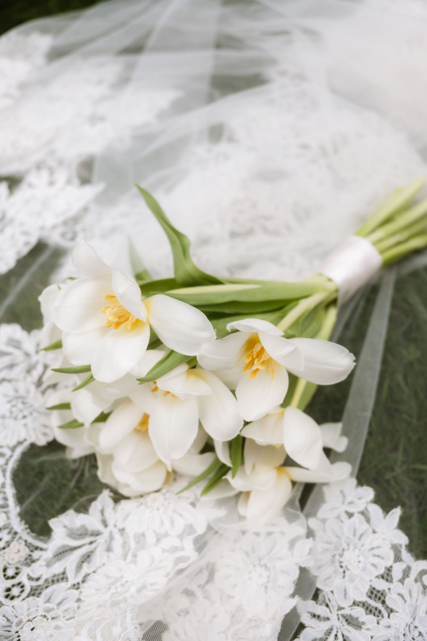 White tulips laying on delicate lace fabric creating an elegant bridal detail.