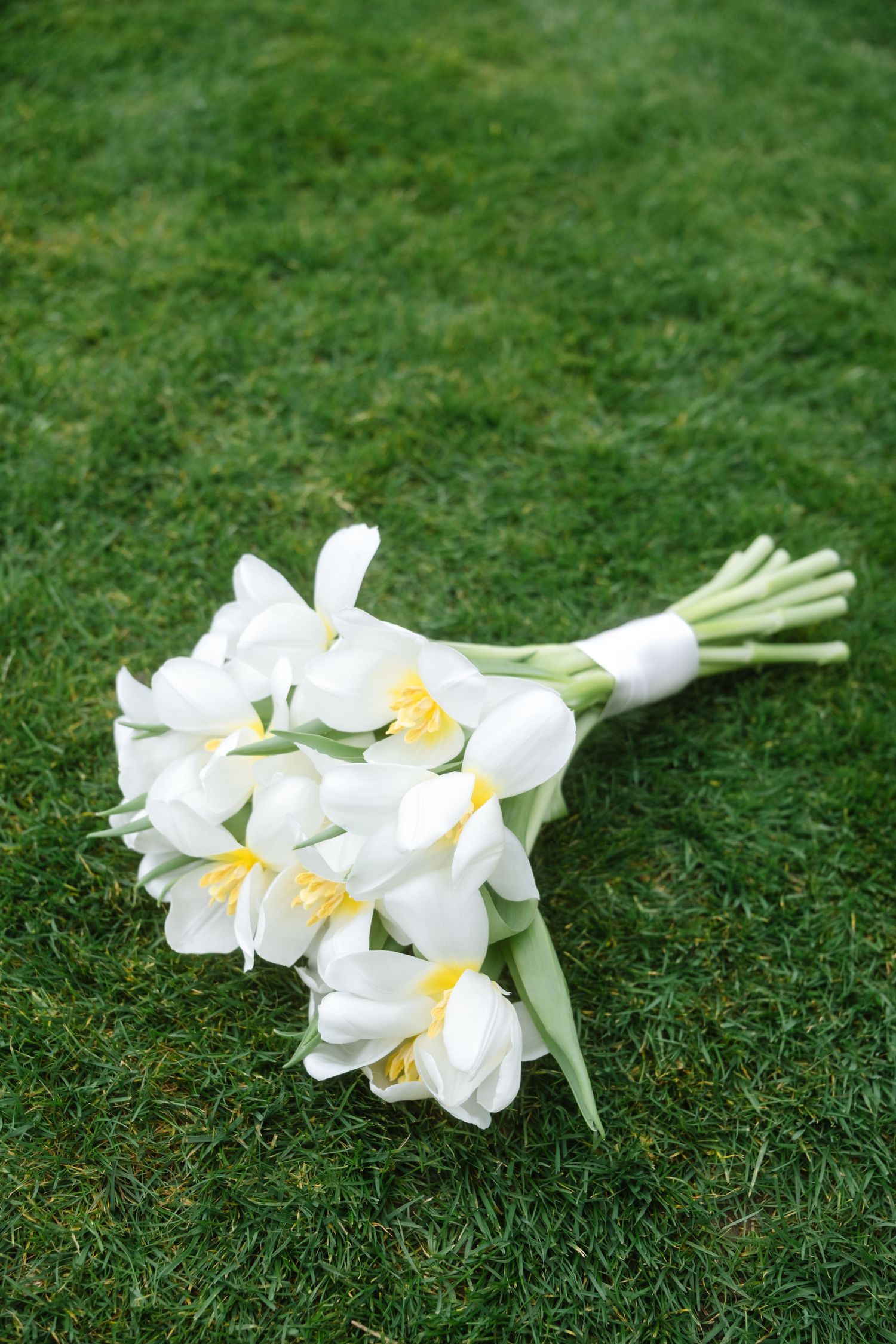 White calla lily bouquet lying on fresh green grass.