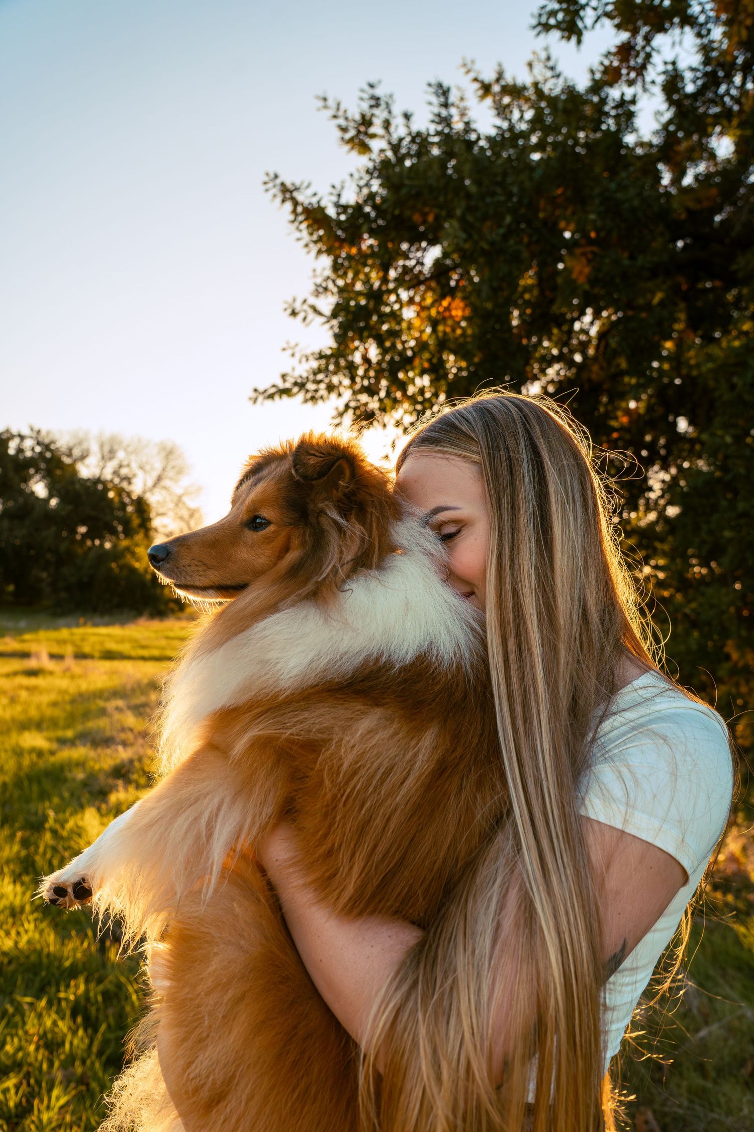 A young blonde woman hugs and nuzzles her fluffy Rough Collie dog outdoors at golden hour.