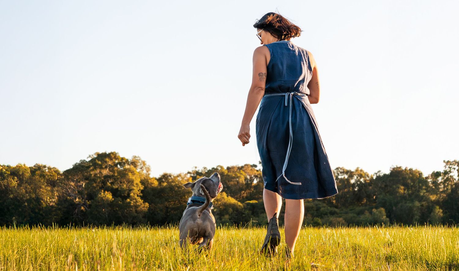 Woman in blue dress standing in tall grass field with gray Staffordshire Bull Terrier at golden hour.