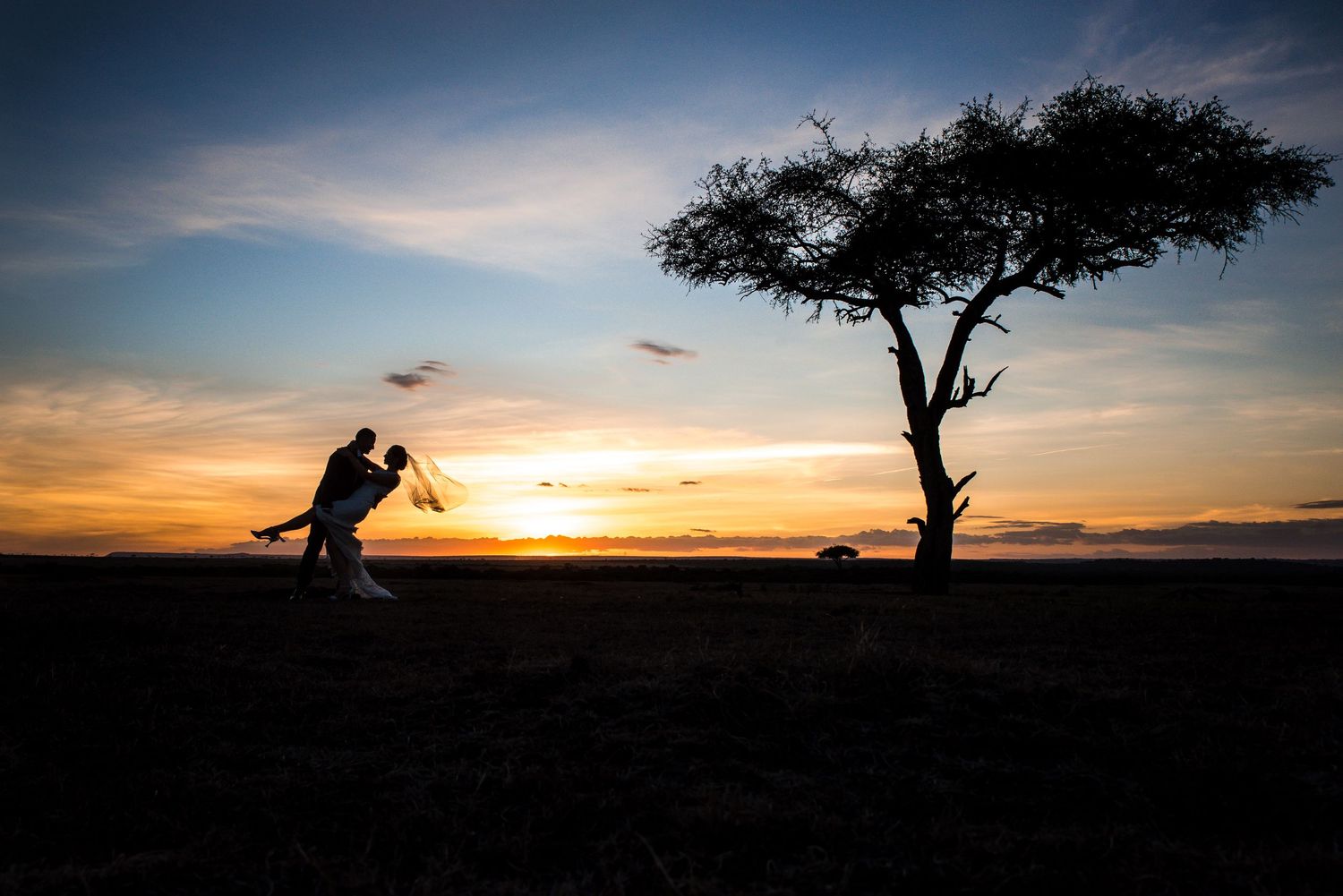 Silhouette of couple dancing at sunset near acacia tree on African savanna, romantic golden sky backdrop.