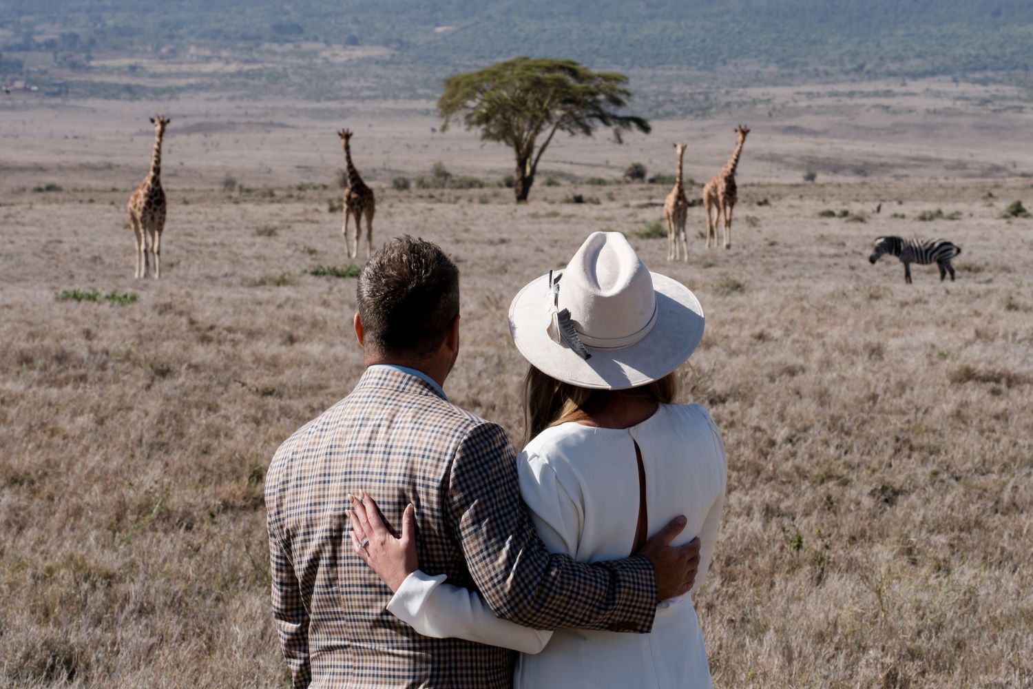 Couple embracing while watching giraffes and zebras roaming the African savanna on a safari.