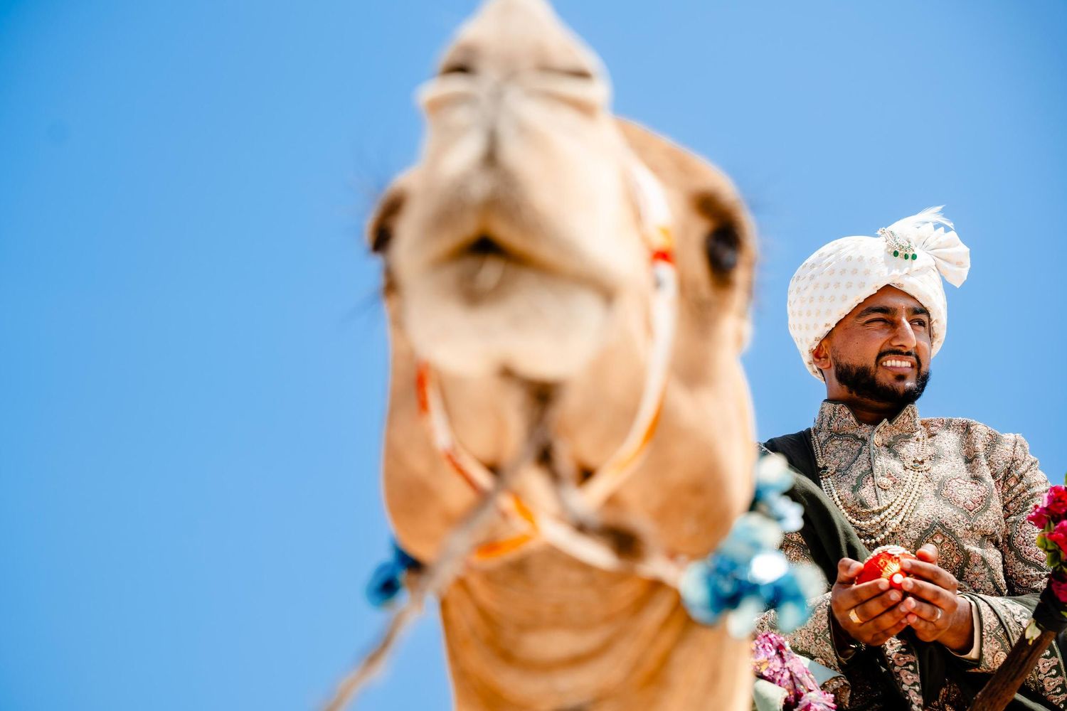 A series of six photos showing a person riding a camel through a desert landscape against a bright blue sky.