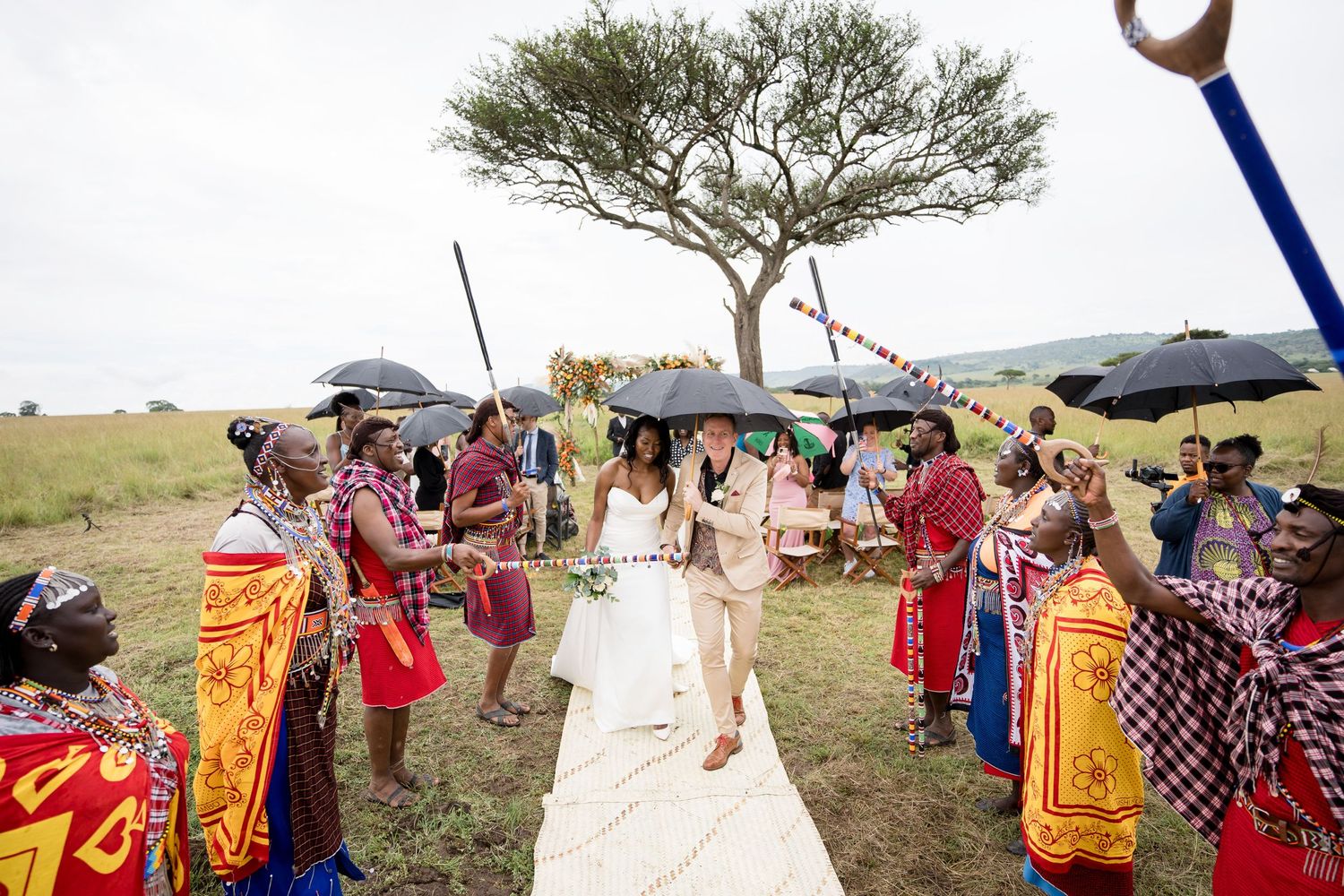 Traditional Maasai wedding celebration with colorful clothed attendees walking beneath an acacia tree.
