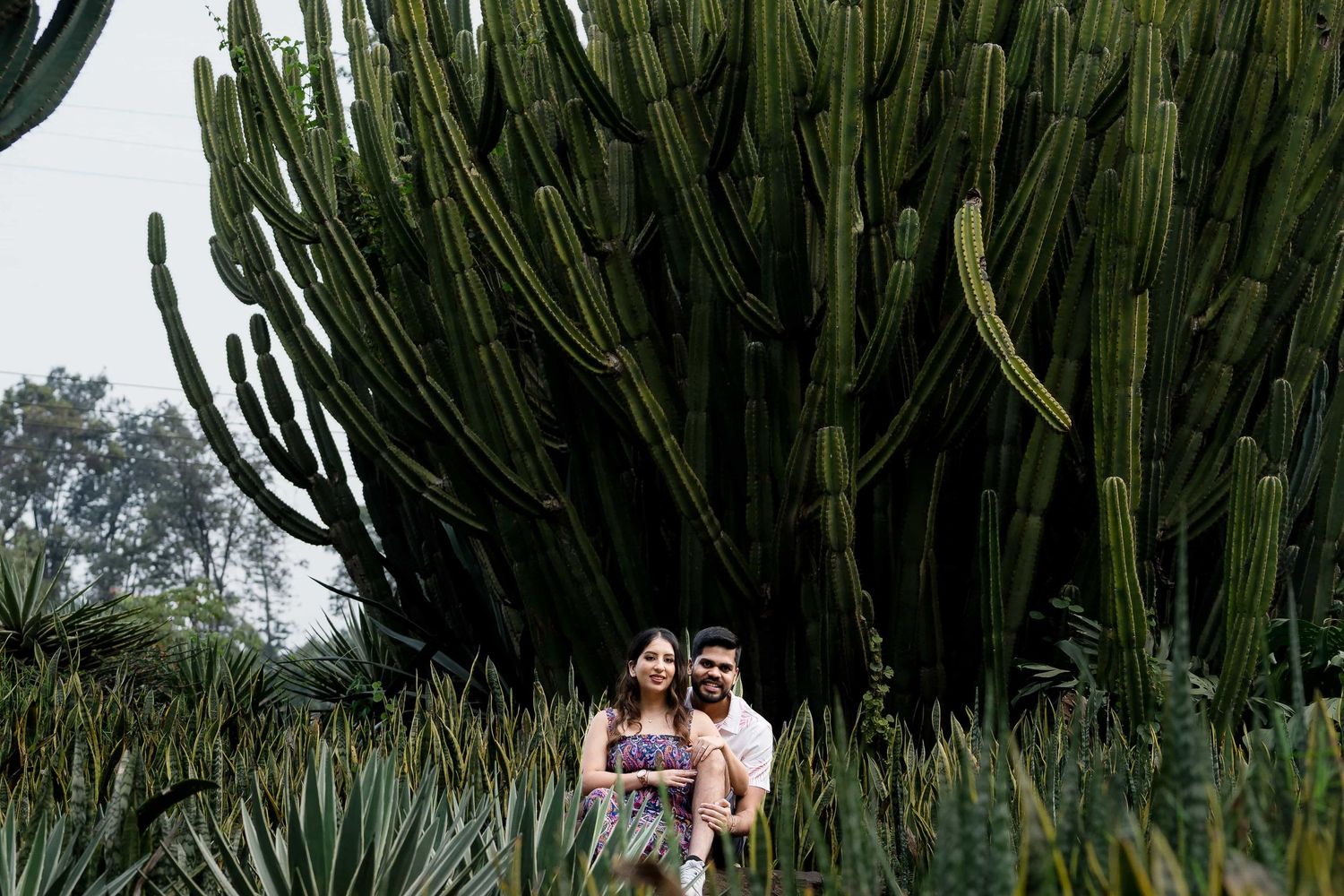 A couple poses among tall desert cacti and succulent plants in a botanical garden.