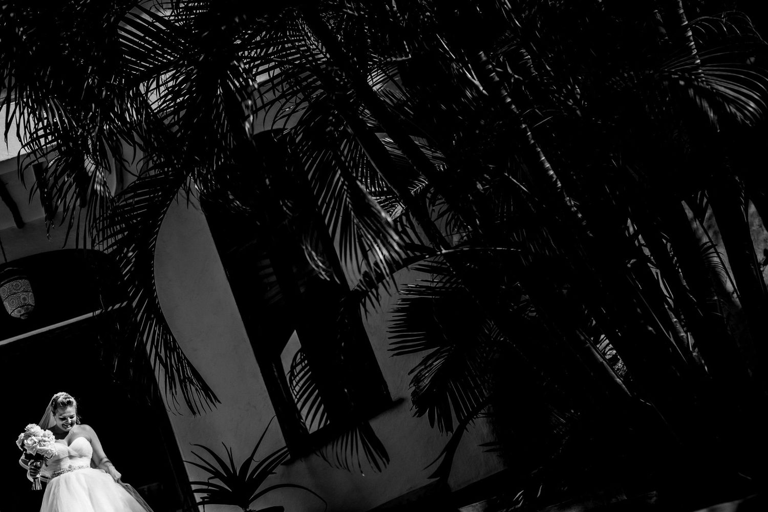 Palm trees silhouetted against a dramatic tropical sky.