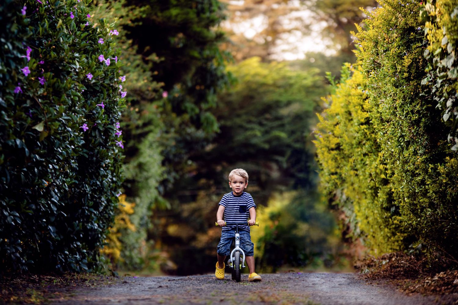 A series of outdoor family portraits taken on a tree-lined path with natural lighting.