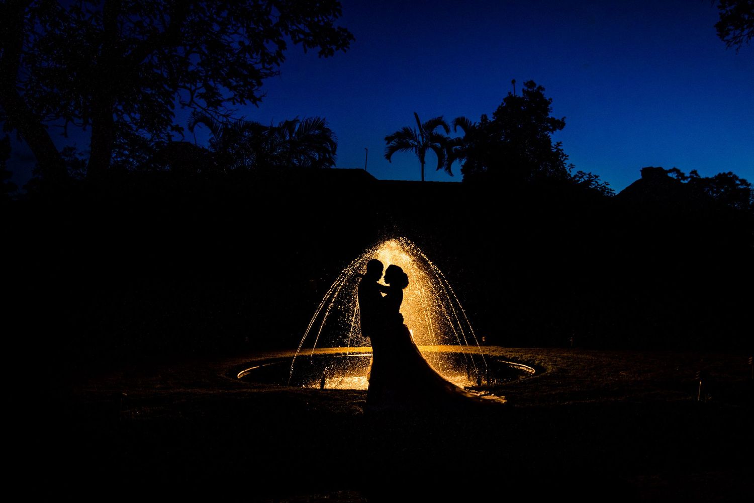 Illuminated tent glows against dark blue night sky surrounded by trees.