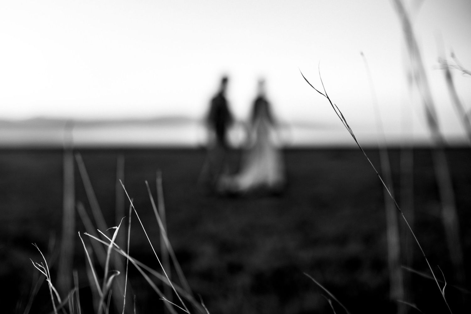 Minimalist black and white landscape with distant figures and grass silhouettes.