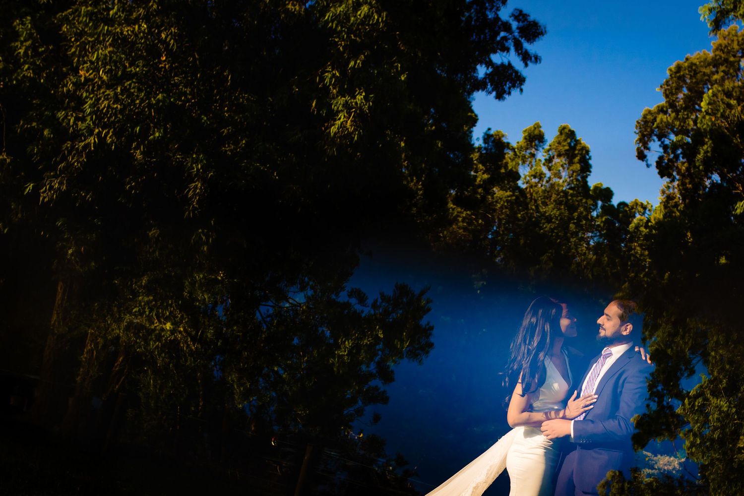 Couple sitting together by a serene lake surrounded by trees under blue sky.