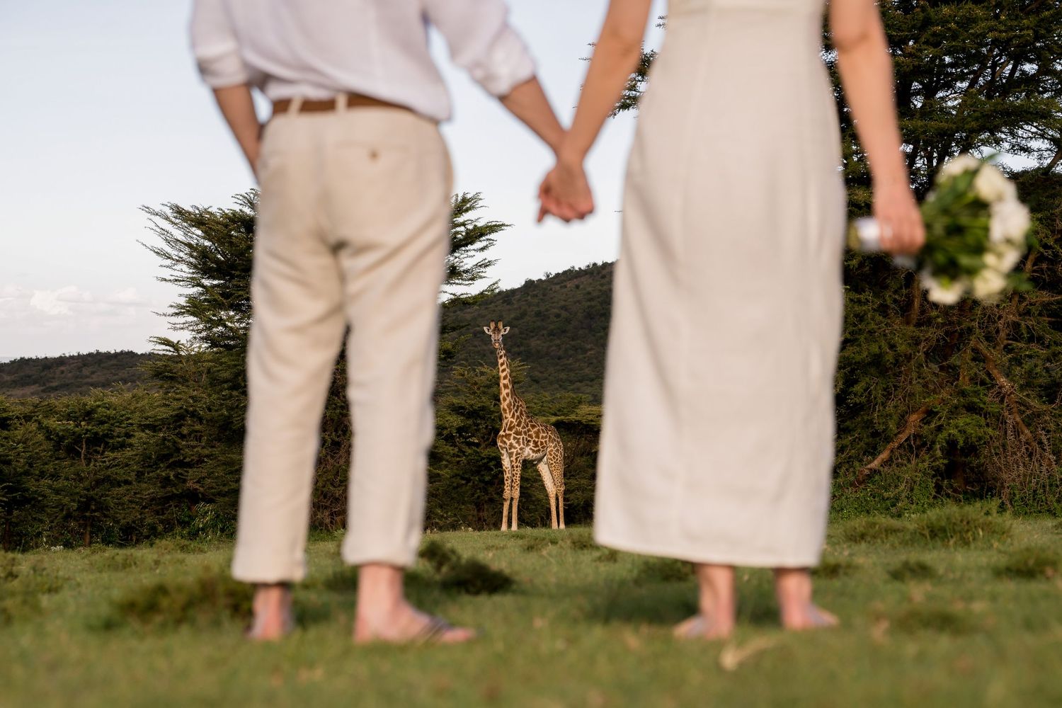 Cropped view of two people watching a giraffe in the African savanna.