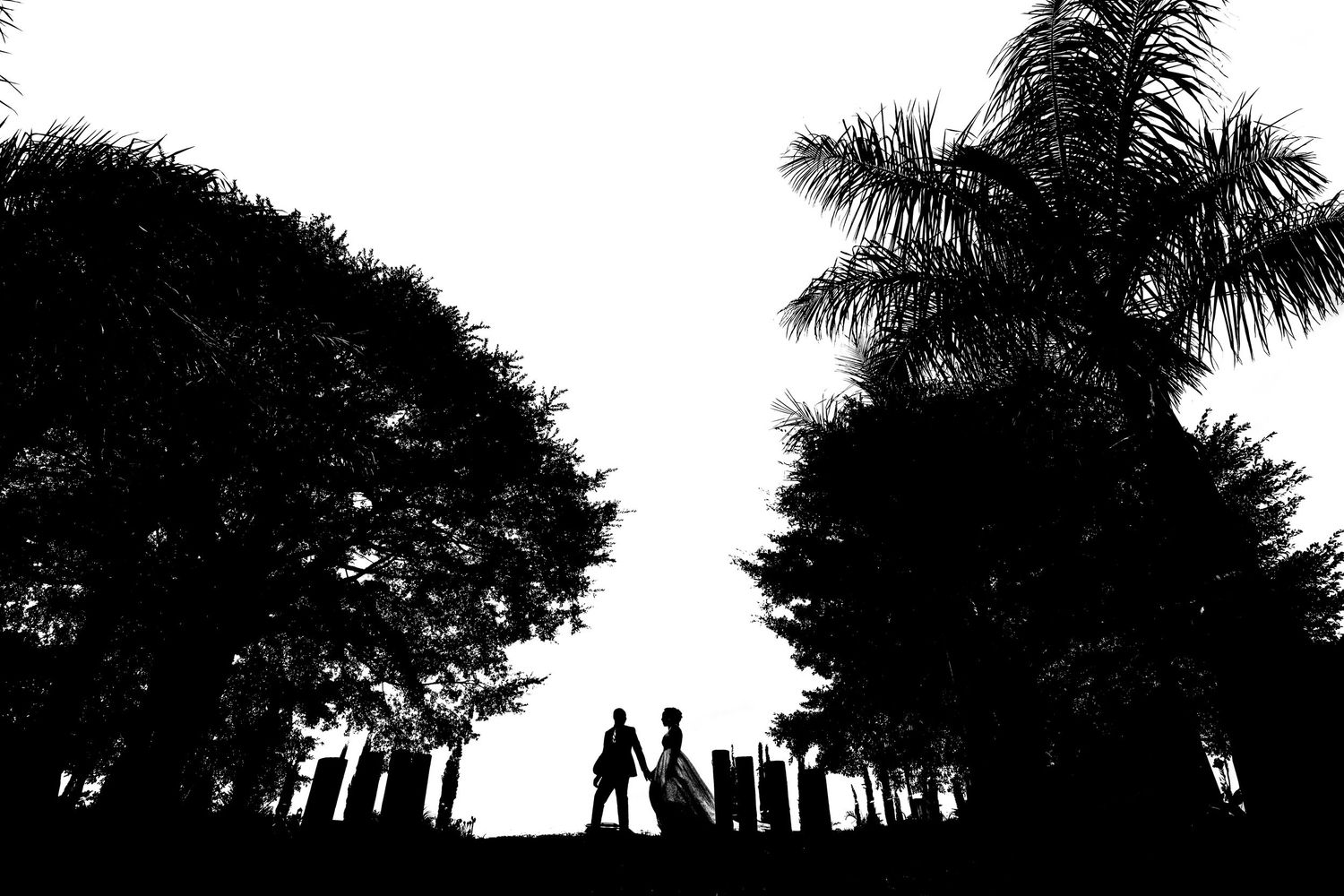 Silhouette of a couple standing between palm trees and other foliage during sunset.