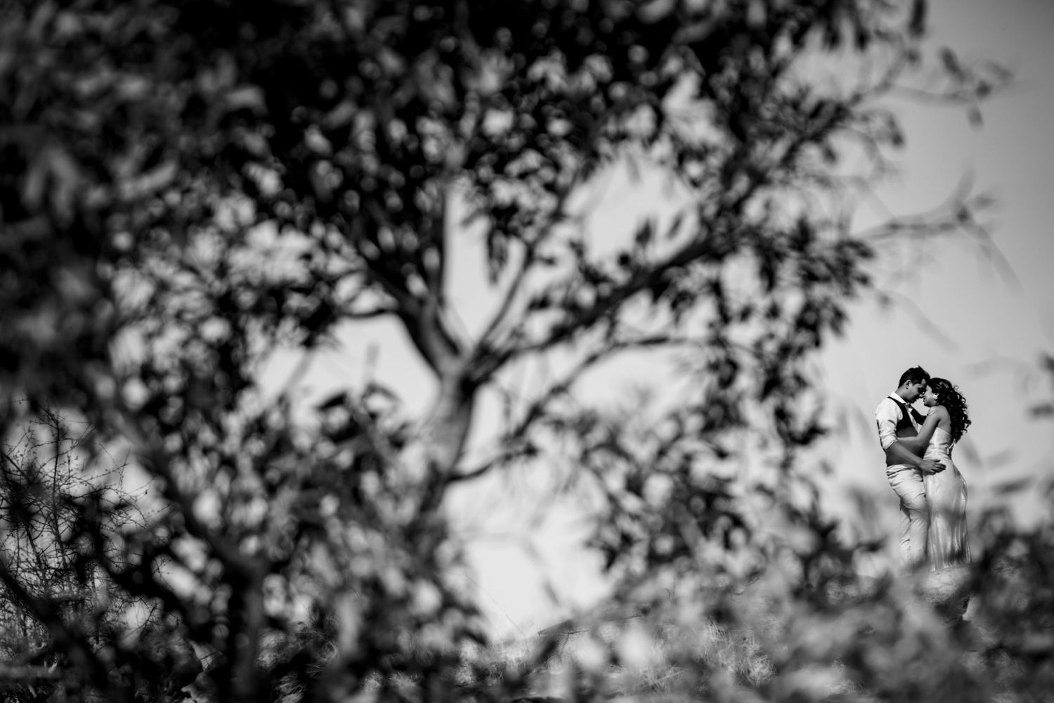 Silhouette of tree branches against a dramatic cloudy sky in monochrome.