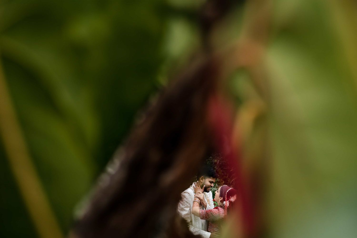 Artistic macro shot of wedding rings with blurred natural background.