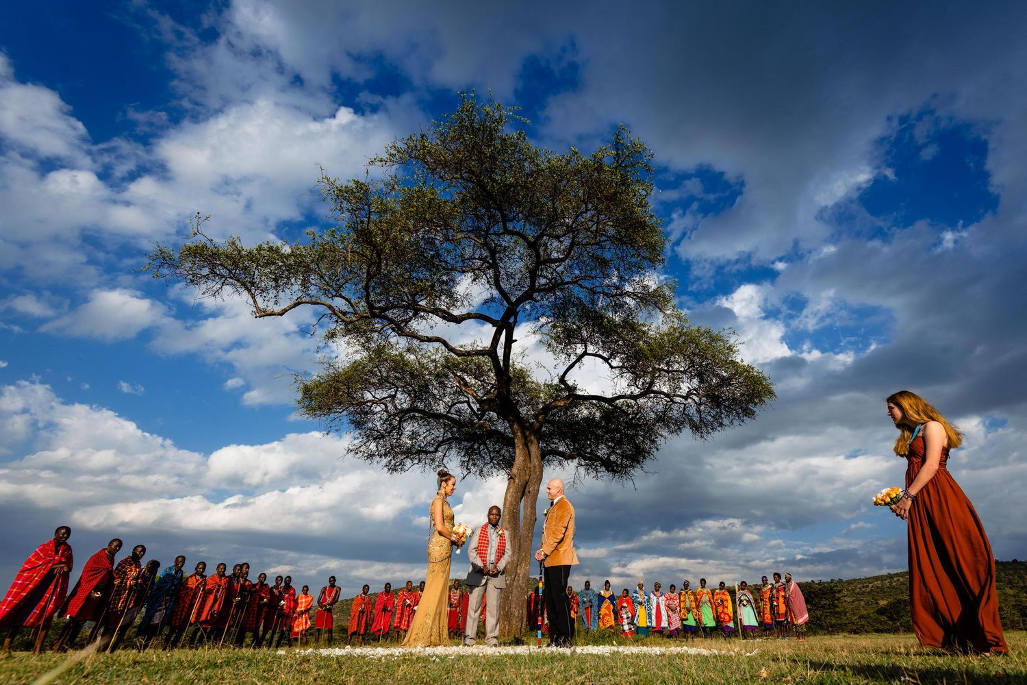 Panoramic landscape with acacia trees against dramatic blue sky in African savanna.