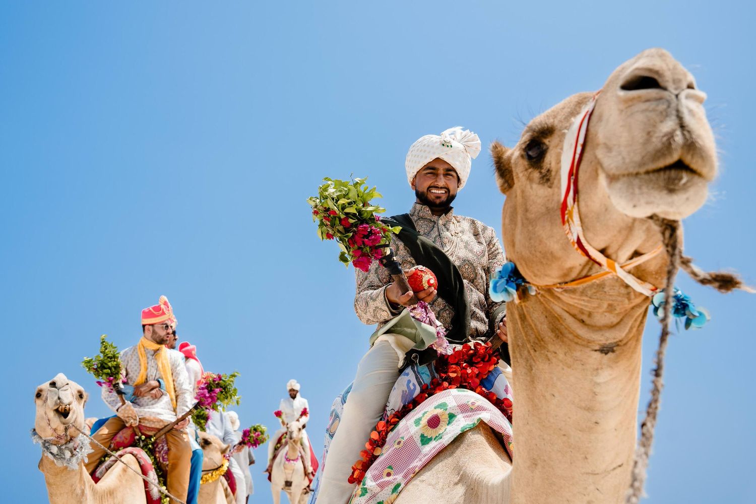 Decorated camels in colorful traditional dress stand against a bright blue sky during a desert festival celebration.