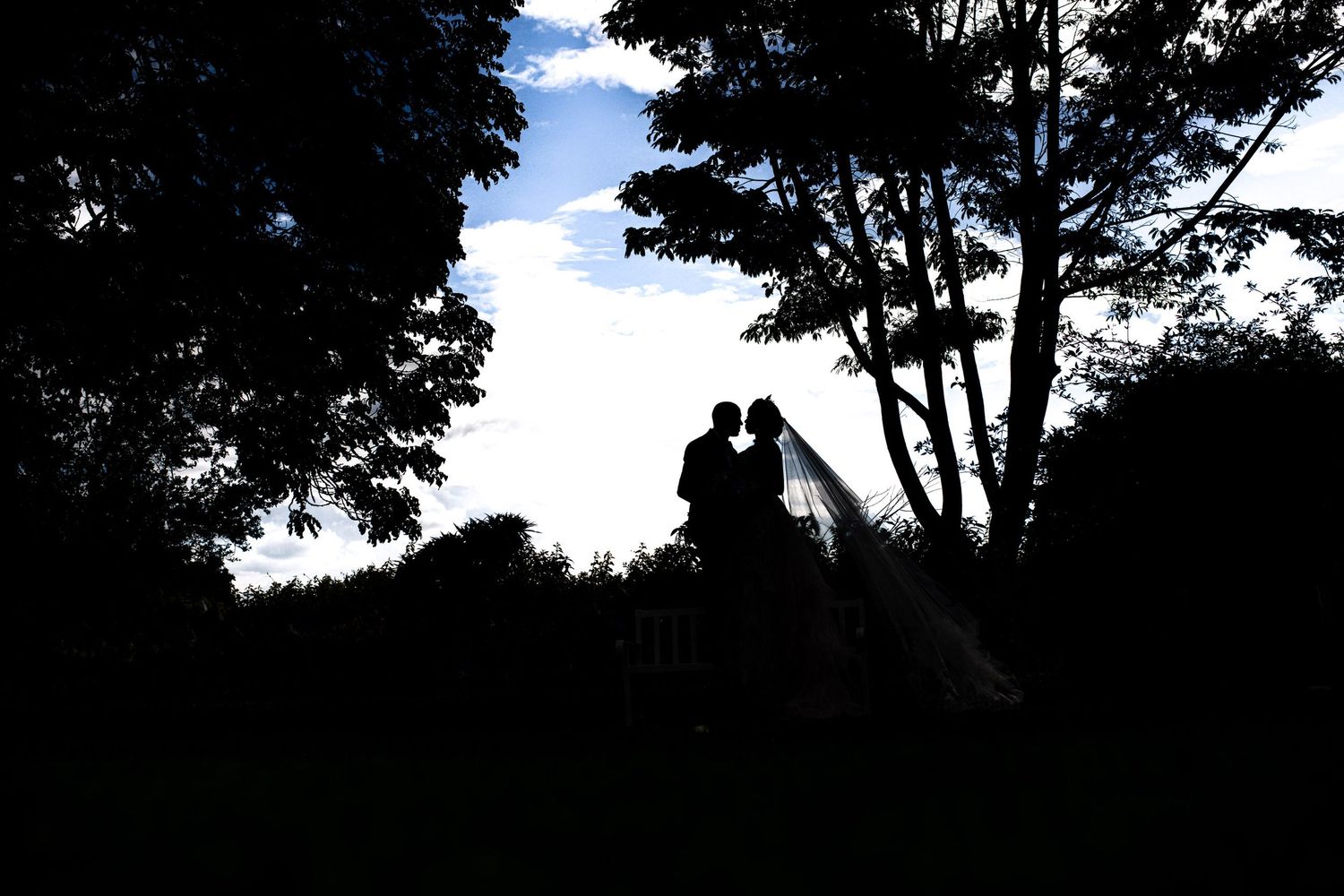 Romantic silhouette of a couple against sunset sky framed by trees.