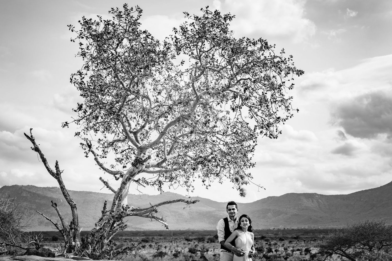 Black and white landscape with a lone tree silhouetted against cloudy mountain scenery.
