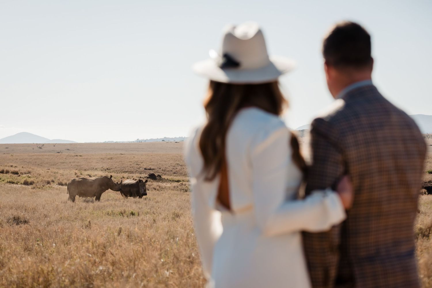 A couple watches wild rhinos grazing in an African savanna landscape.