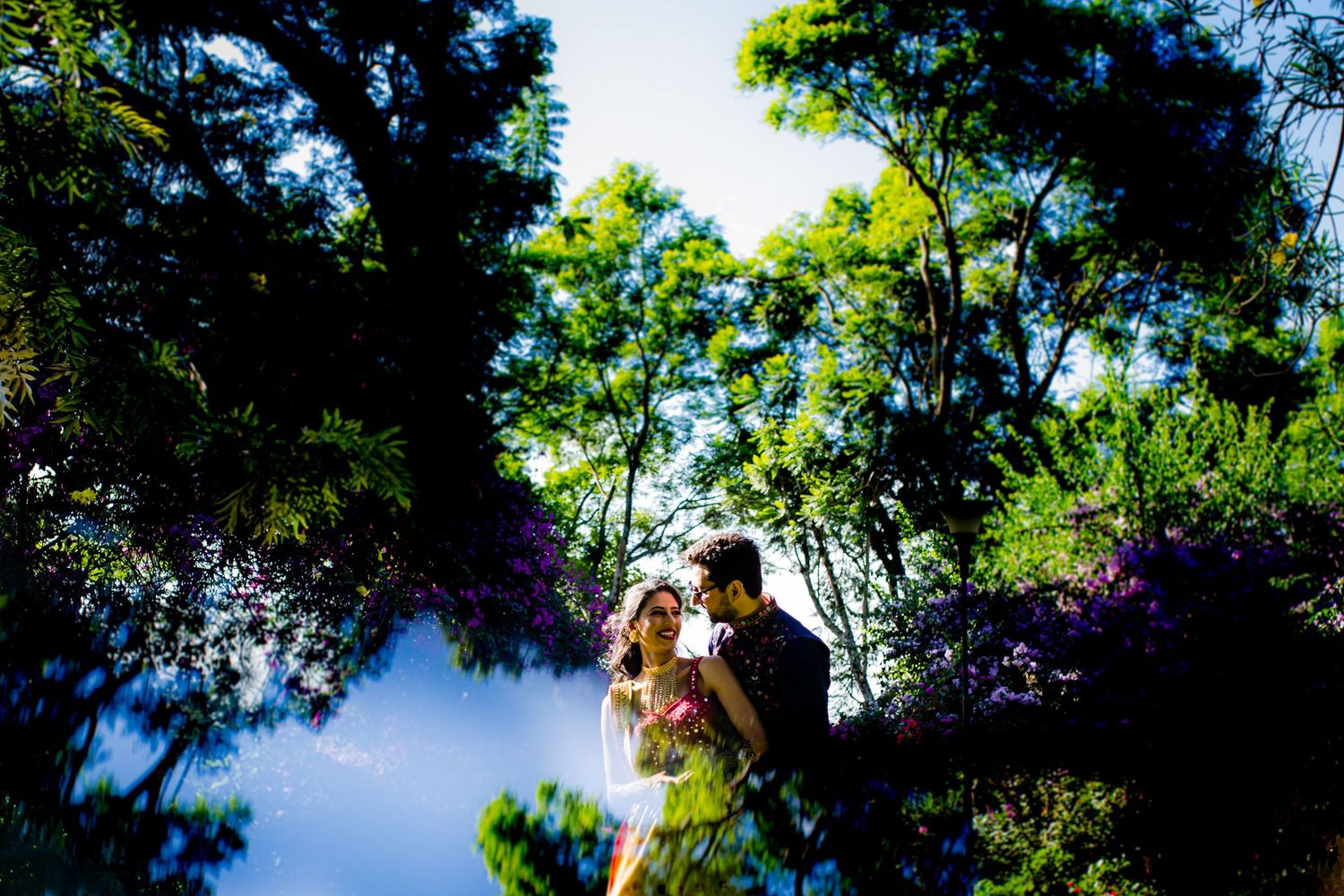 Looking up through green tree canopy with blue sky peeking through.