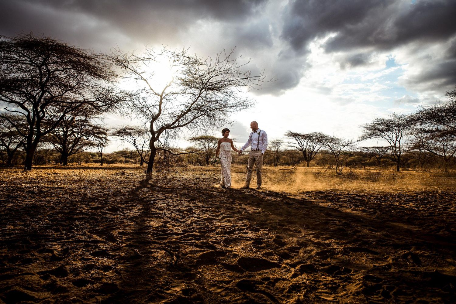 Dramatic landscape with storm clouds and silhouettes against an African savanna backdrop.