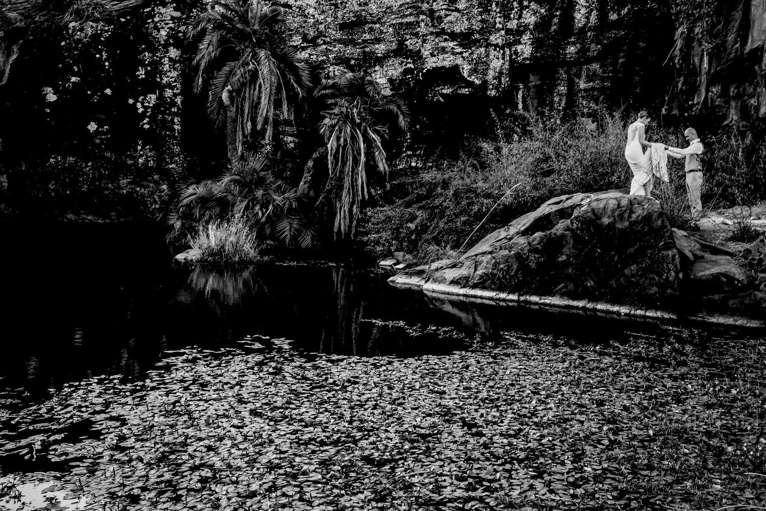 Black and white photo of a tranquil garden pond surrounded by palm trees and lush foliage with a white statue nearby.