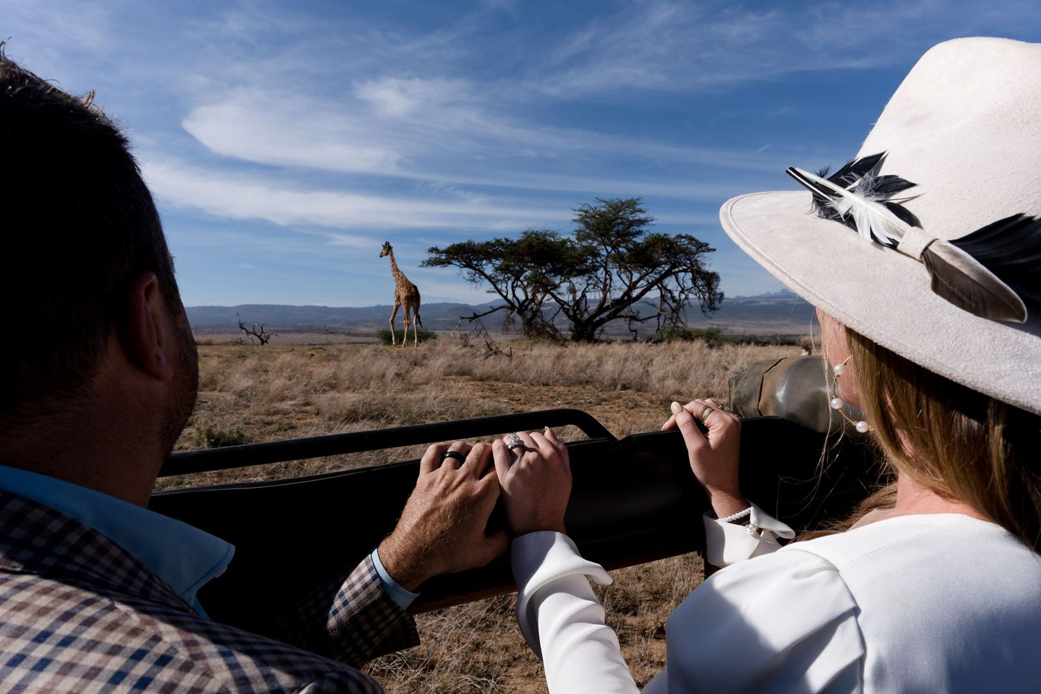 Safari-goers photograph a giraffe near an acacia tree in the African savanna.