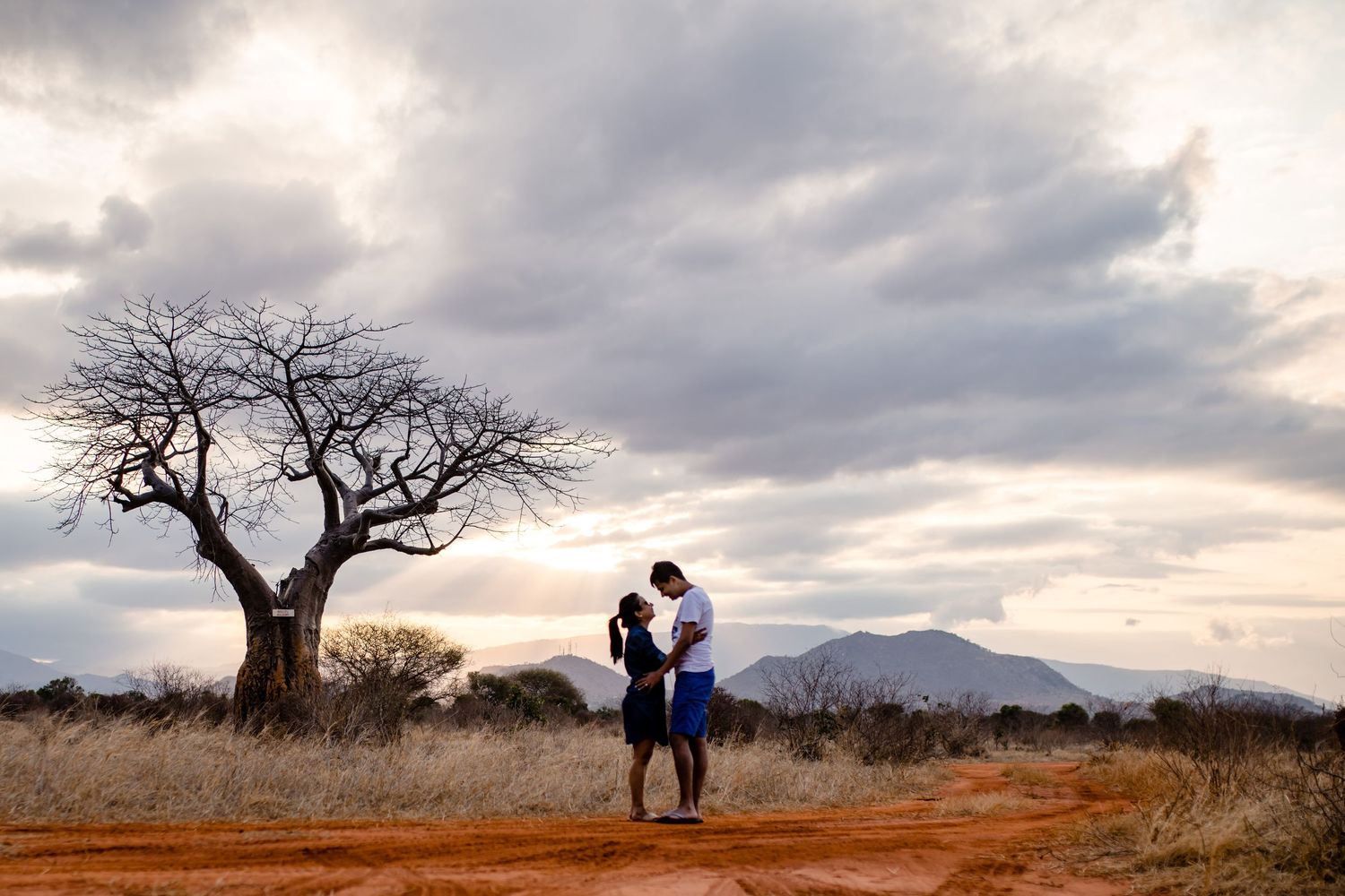Panoramic view of a dramatic sky over African plains with acacia trees at sunset.