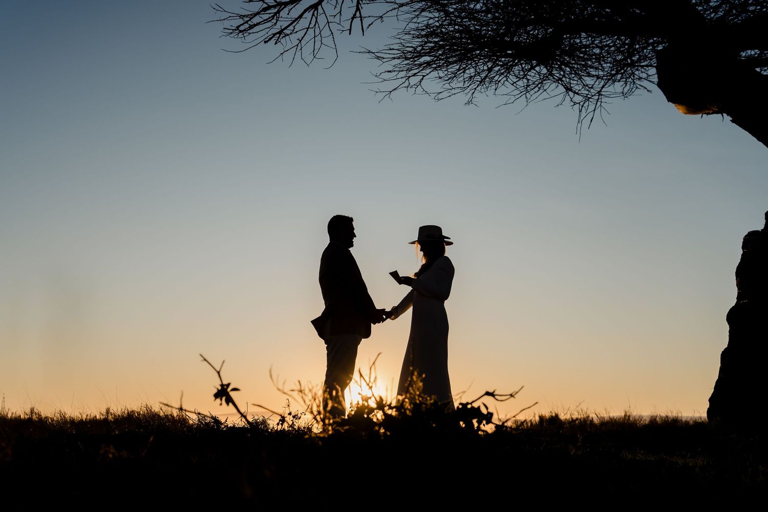 Silhouettes of two people standing beneath a tree branch during sunset.