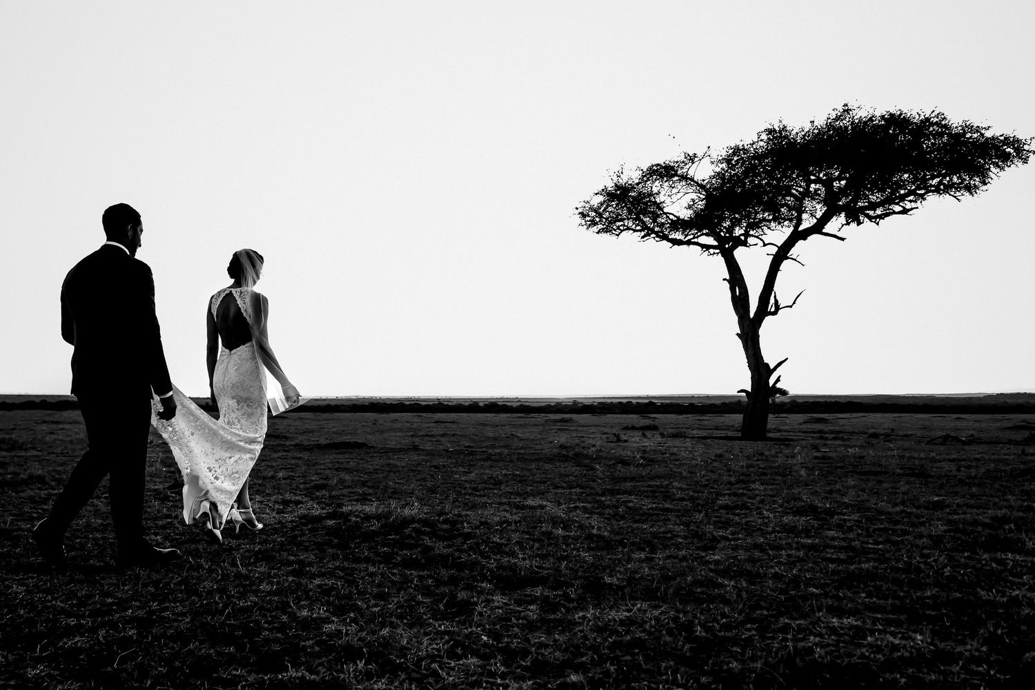 Silhouetted figures stand against white background with lone tree on rolling hill.