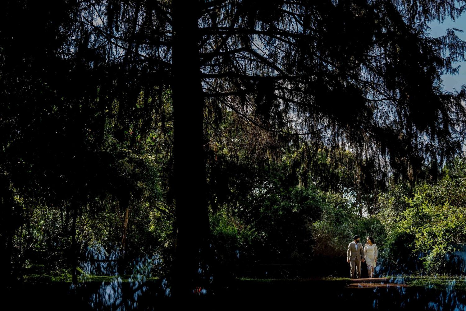 A silhouetted couple stands together under dark evergreen trees near water.