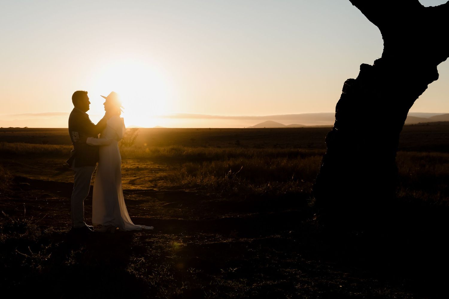 Silhouette of a couple in wedding attire standing together against a sunset sky with a tree branch in view.