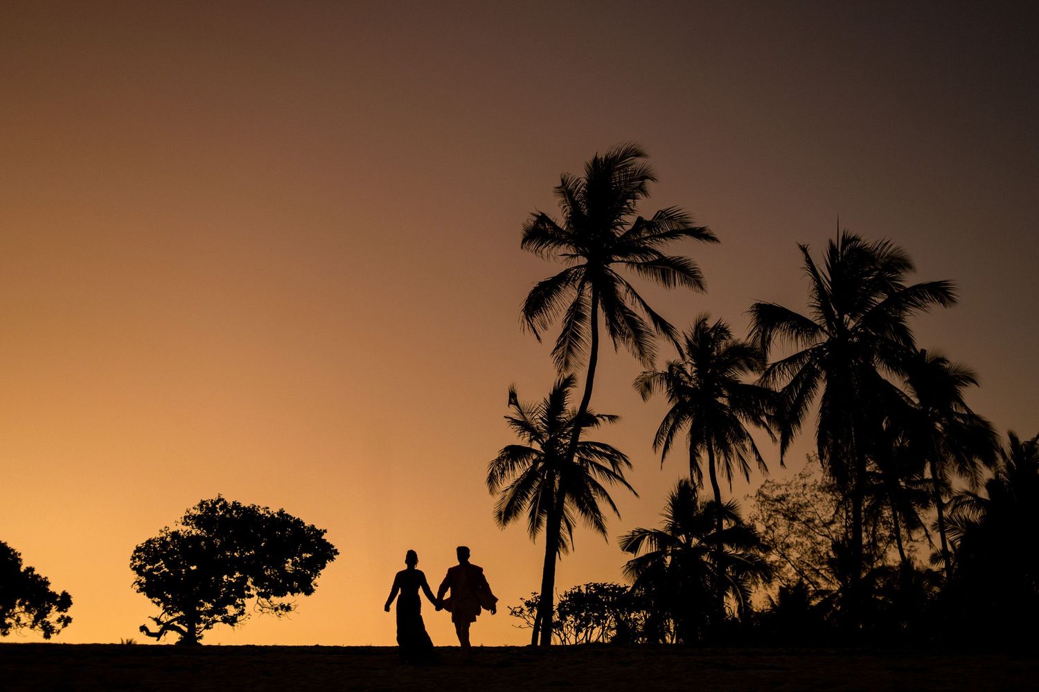 Silhouettes of palm trees and tropical foliage against a dramatic orange and brown sunset sky.