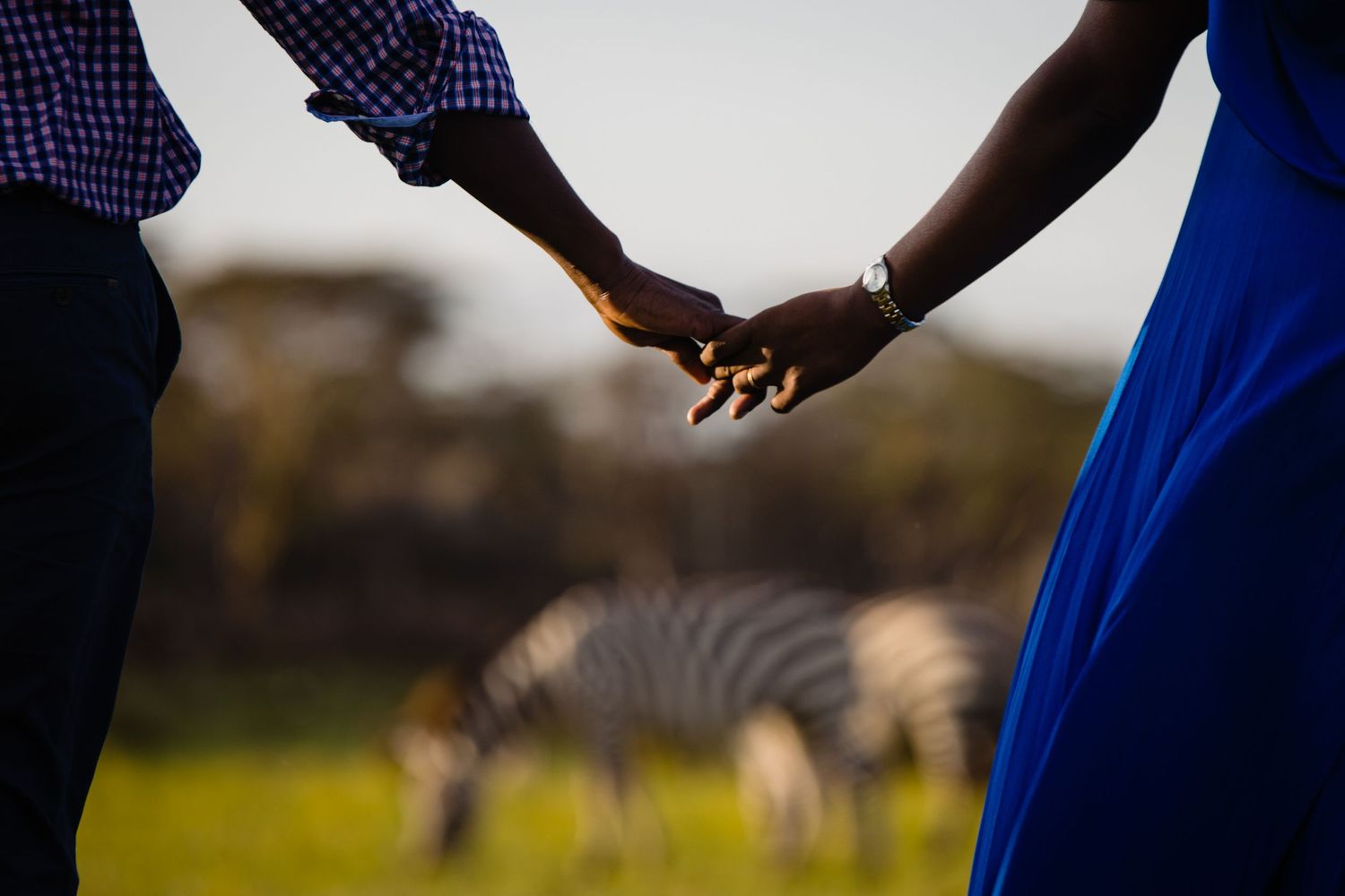 Close-up of holding hands with zebra grazing in background at safari wedding.