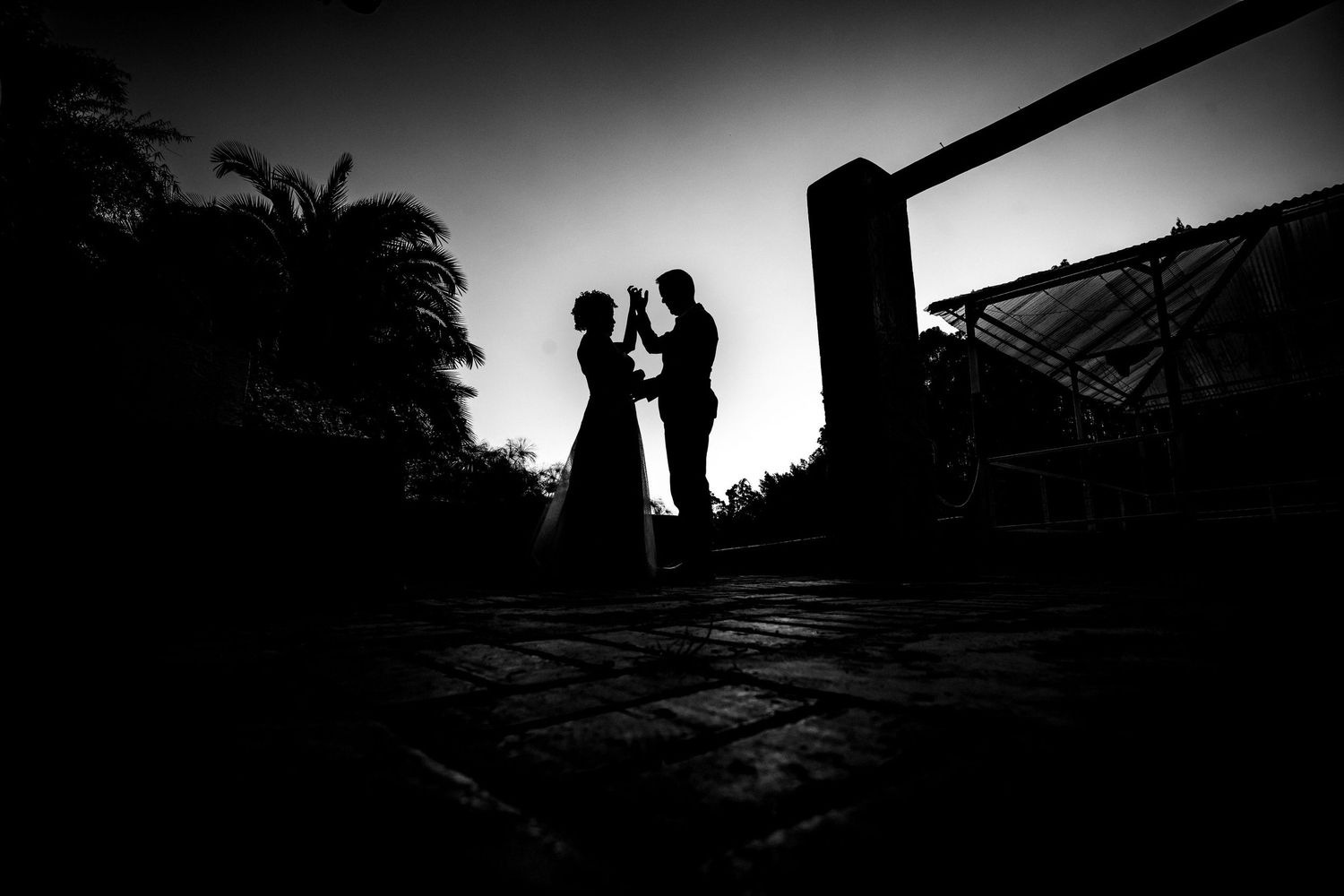 Romantic silhouette of couple against palm trees in dramatic black and white composition.