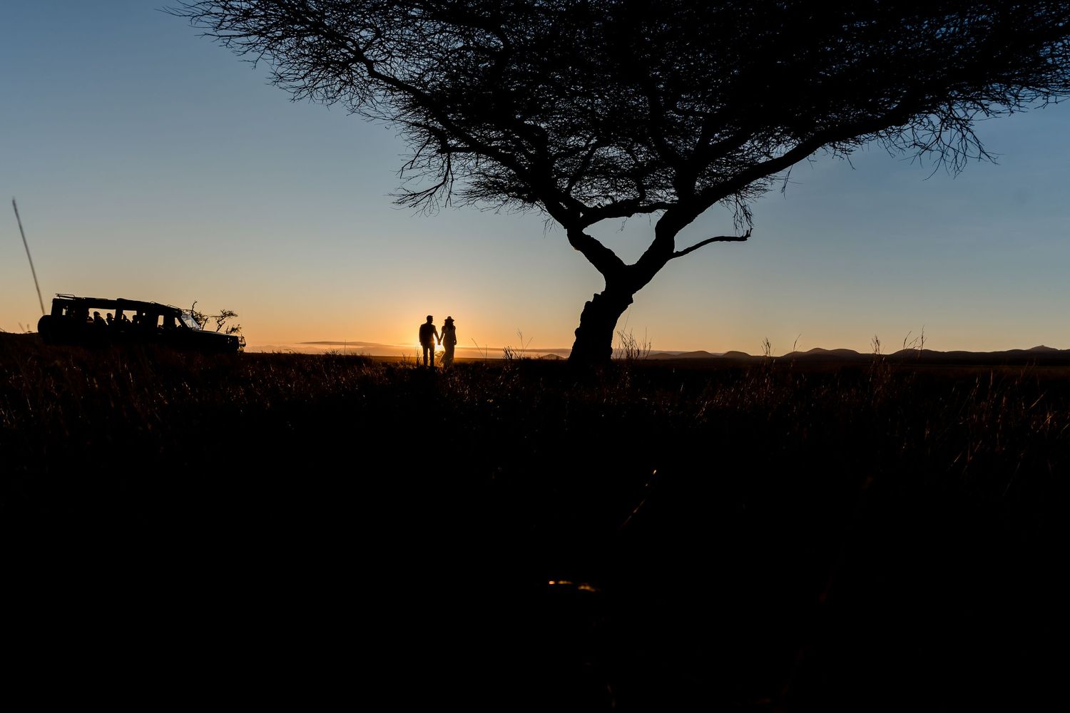 Silhouettes of two people and a safari vehicle under an acacia tree at dusk.