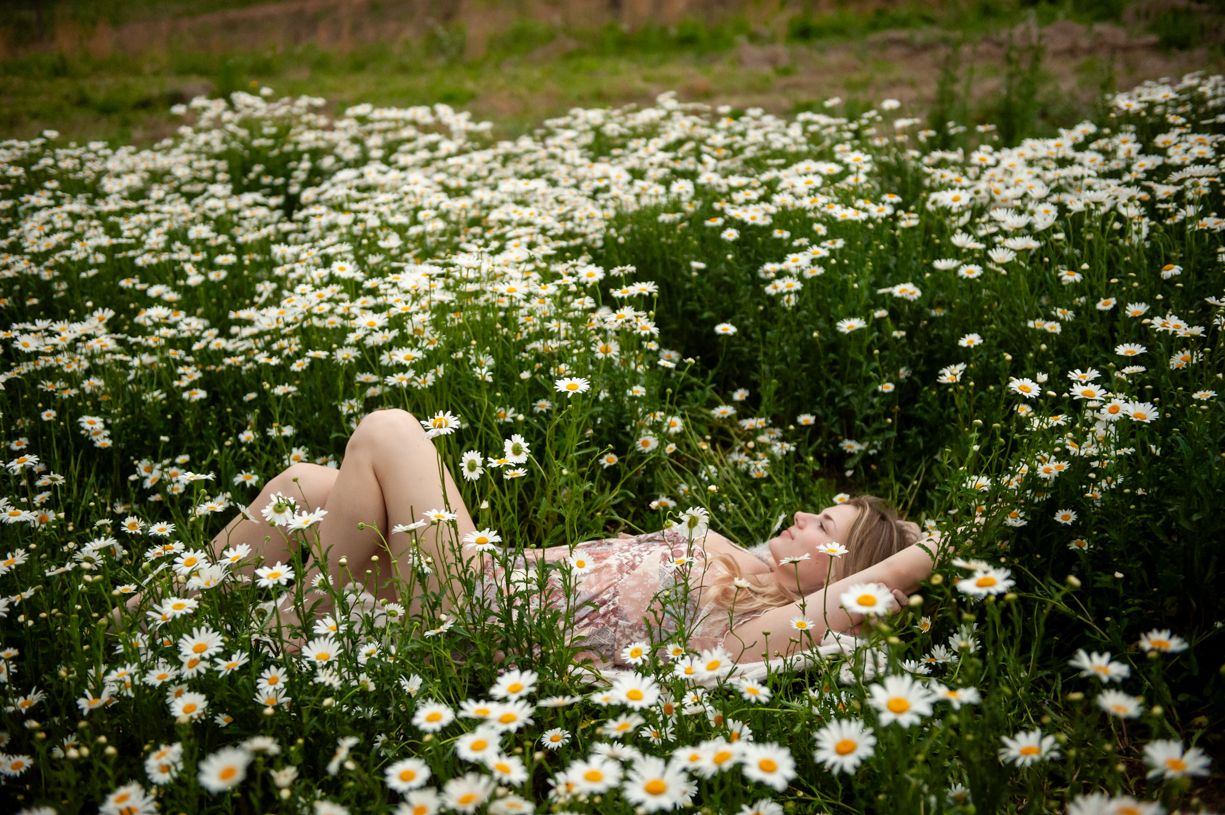 High school senior portrait in Mooresville NC with natural golden hour light in a field of flowers