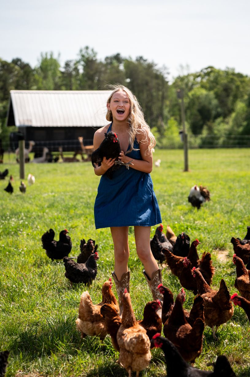 Playful scene with brown chickens running across a sunny green field while a senior girl holds them.