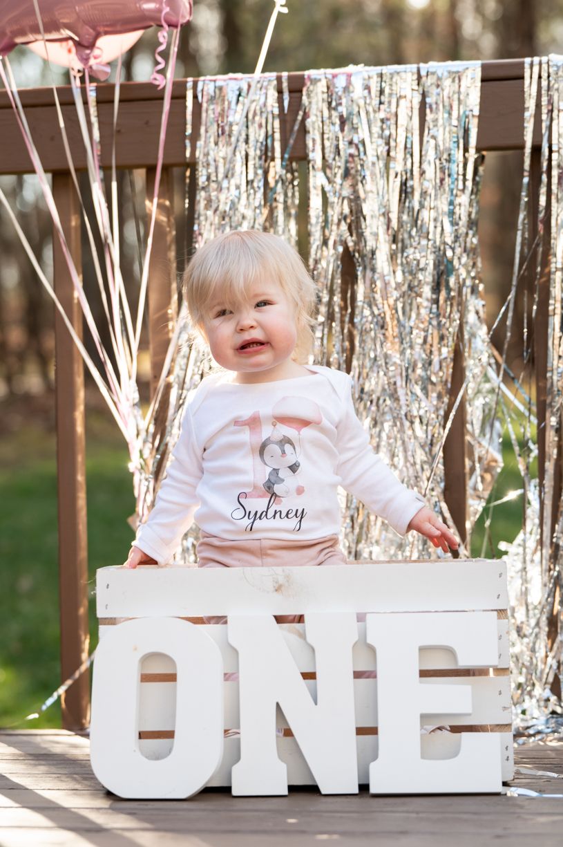 First birthday photo setup with silver streamers and white 'ONE' letters as decoration.