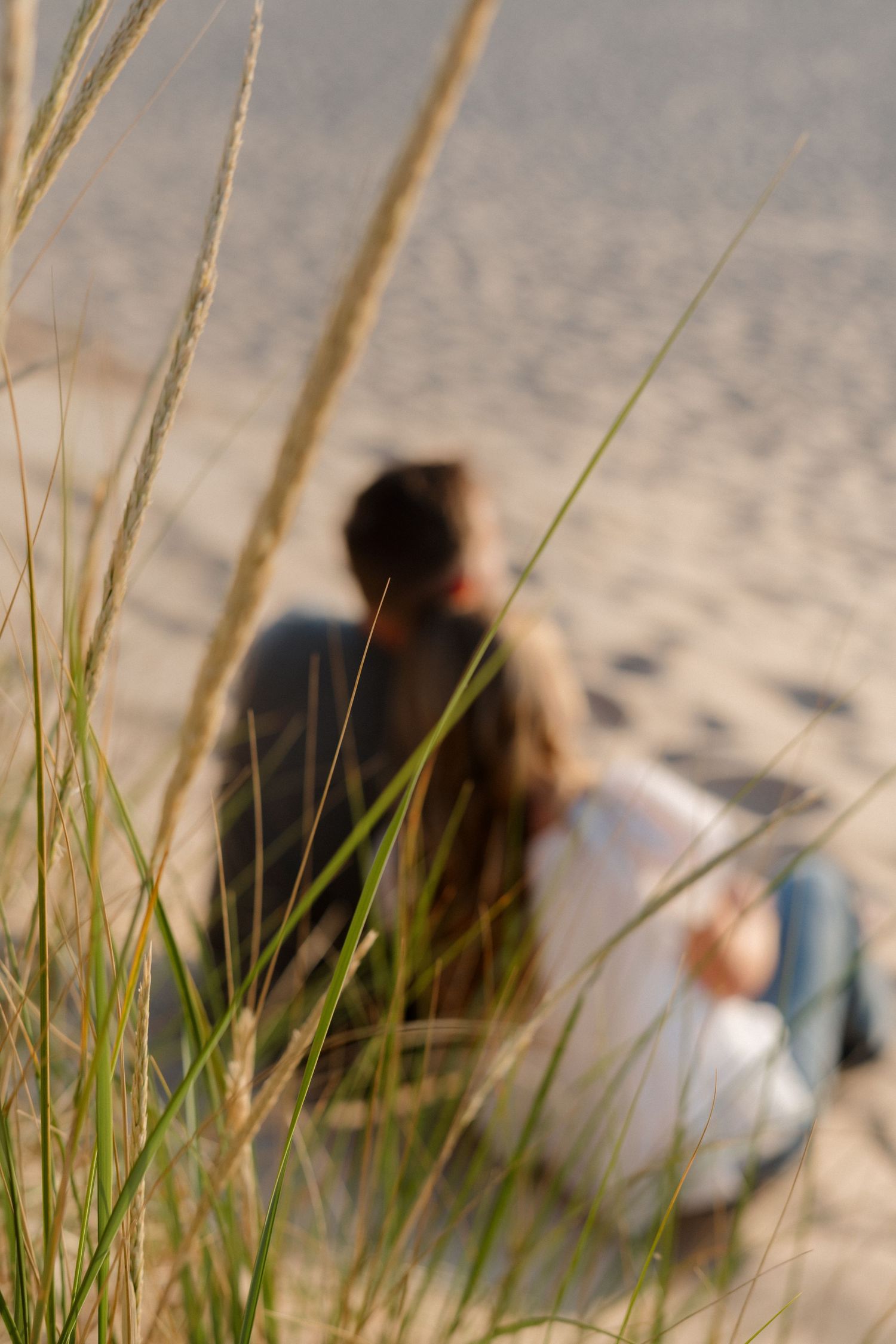 Beach scene with sea grass framing couple sitting on sandy shore.