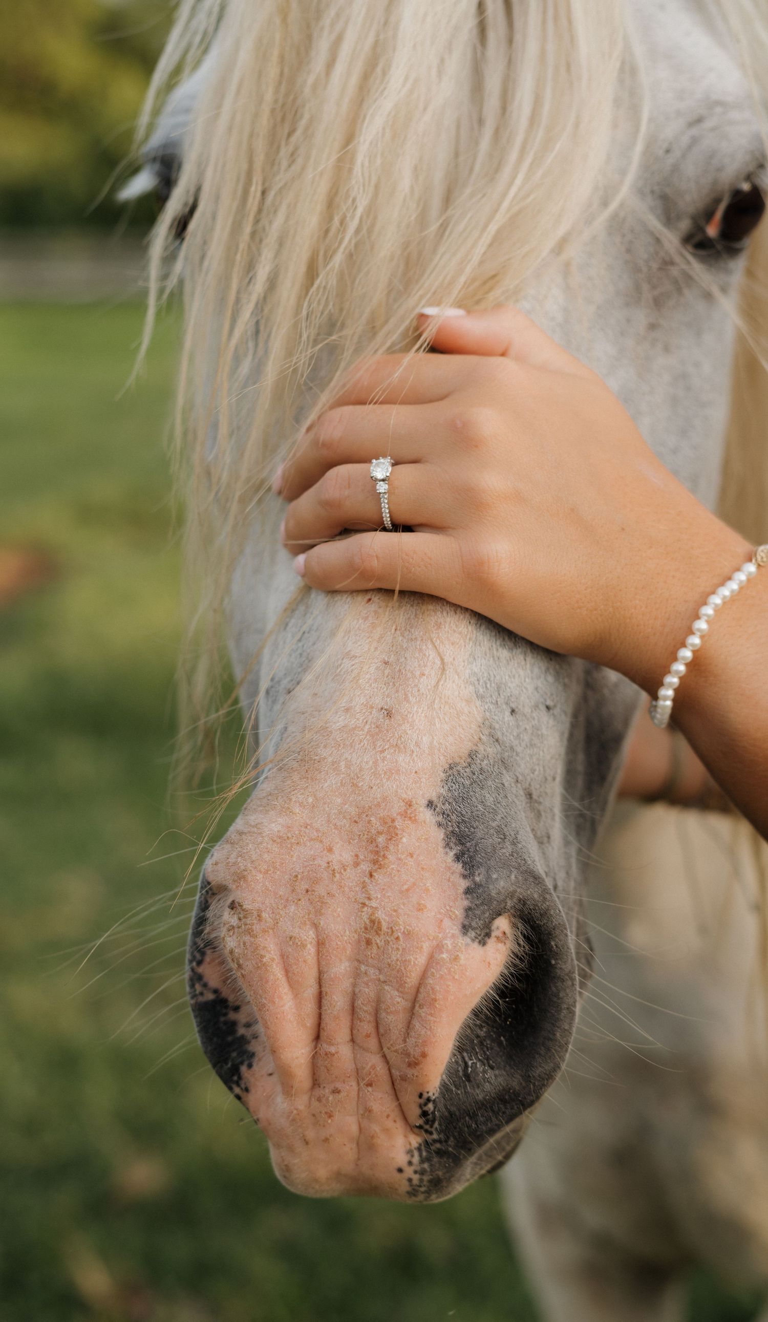A close-up of a hand wearing an engagement ring while touching a white horse's nose.