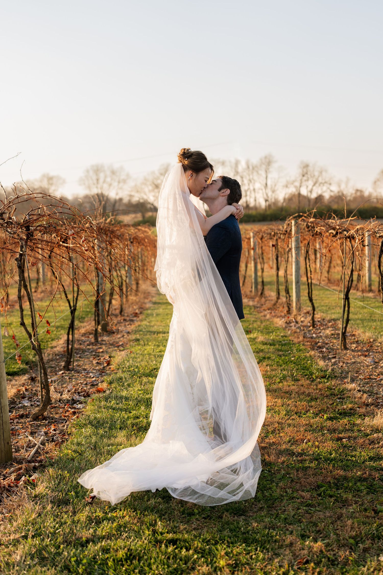 Dramatic wedding photo in vineyard with flowing veil catching golden hour light.