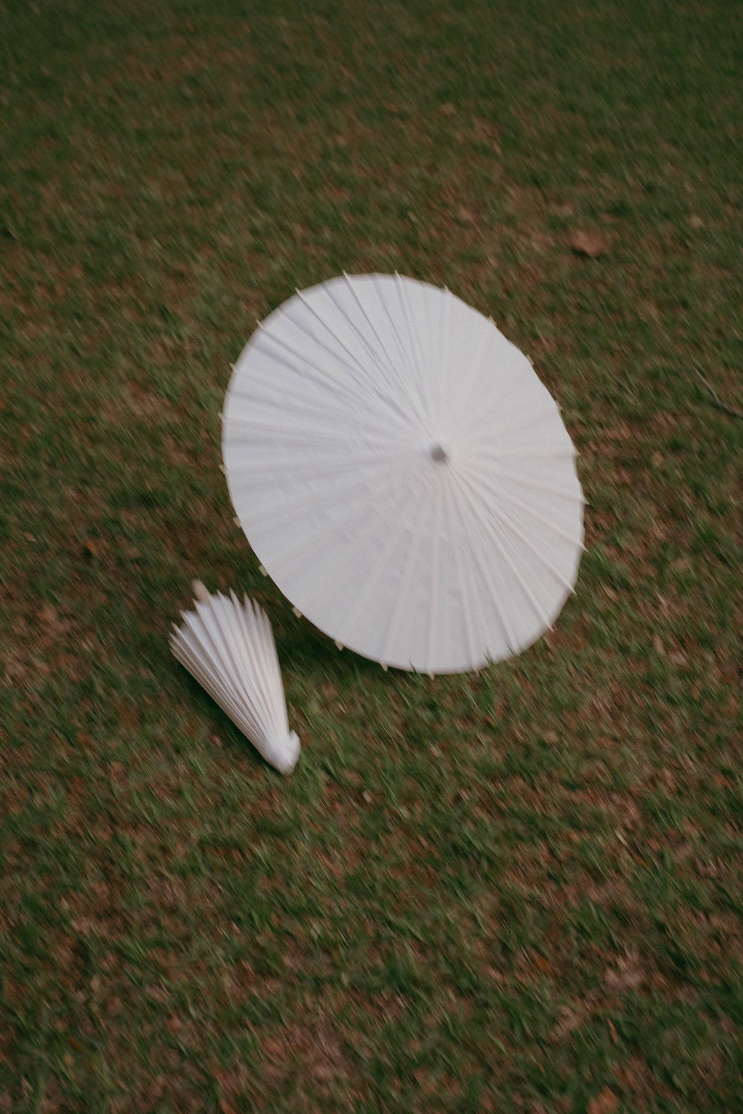 White paper parasols lay scattered on brown grass creating an artistic arrangement.