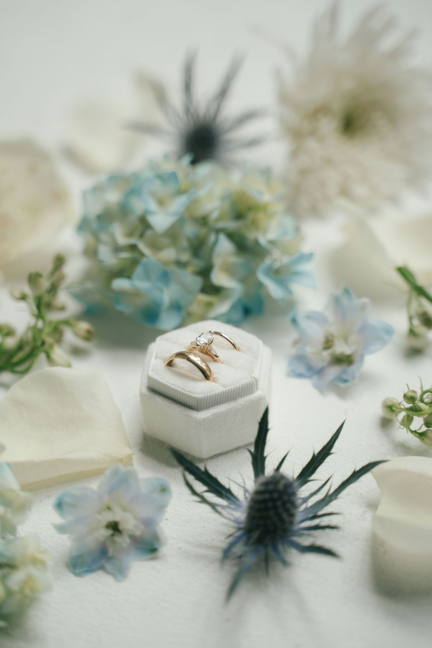 Gold wedding rings in white hexagon box surrounded by blue hydrangeas and thistle flowers on white background.