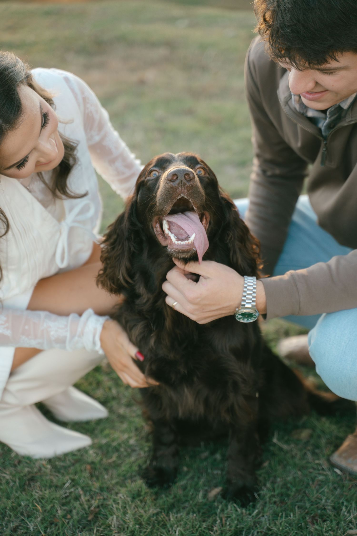 A happy black dog lying on grass being petted by multiple hands.