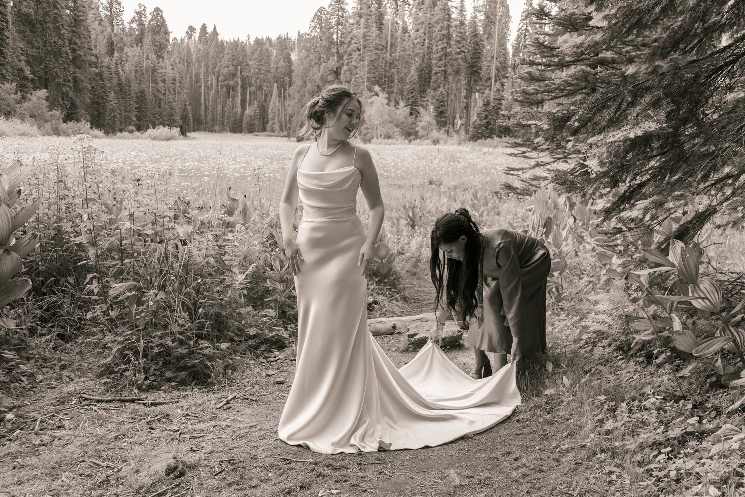 Cresent Meadow Elopement, Sequoia Moro Rock Elopement, Sequoia Elopement, Séquoia Summer Elopement