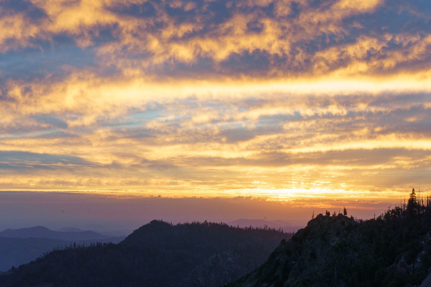 Sequoia Moro Rock Elopement, Sequoia Elopement, Séquoia Summer Elopement