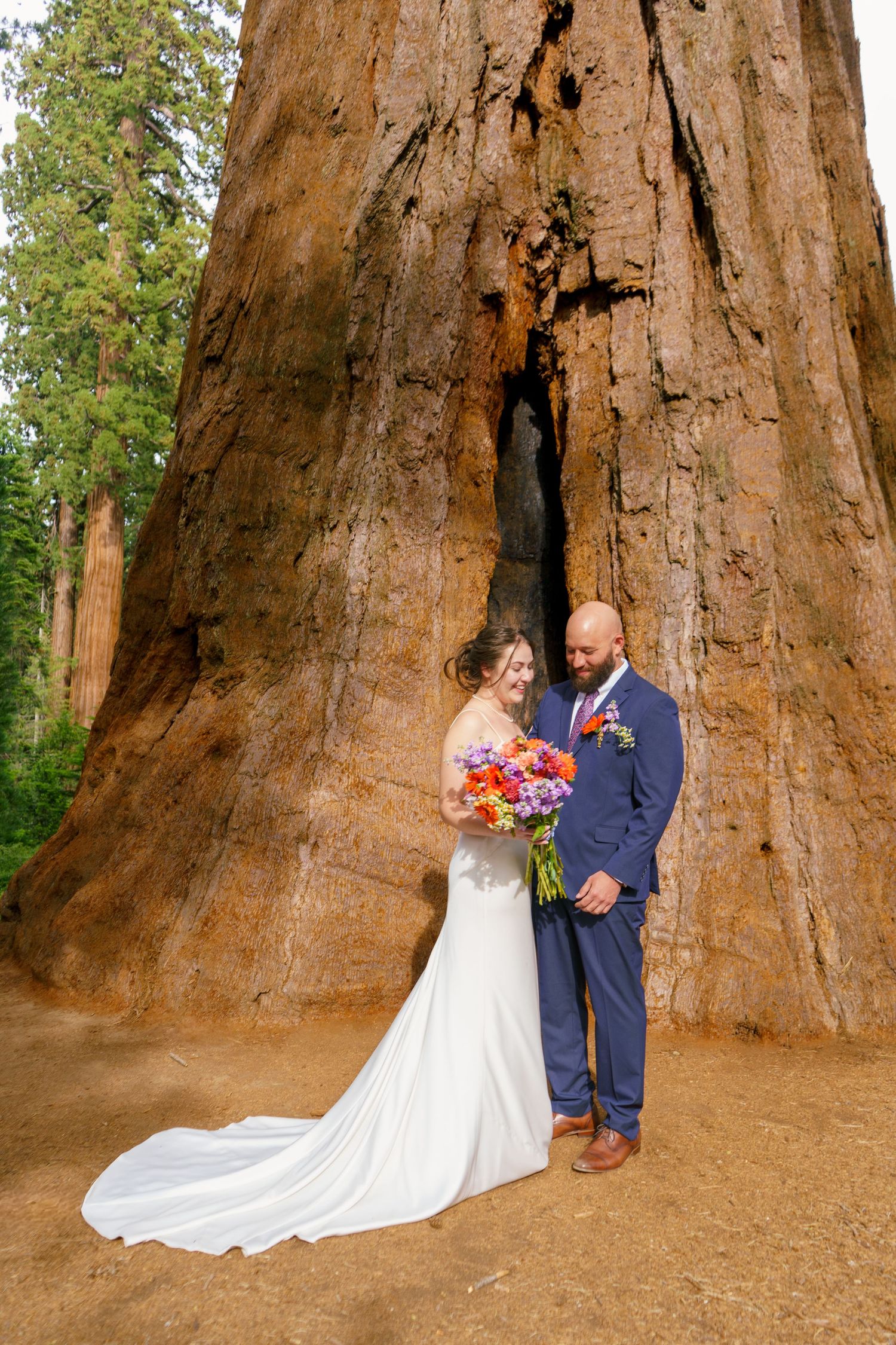 Cresent Meadow Elopement, Sequoia Moro Rock Elopement, Sequoia Elopement, Séquoia Summer Elopement