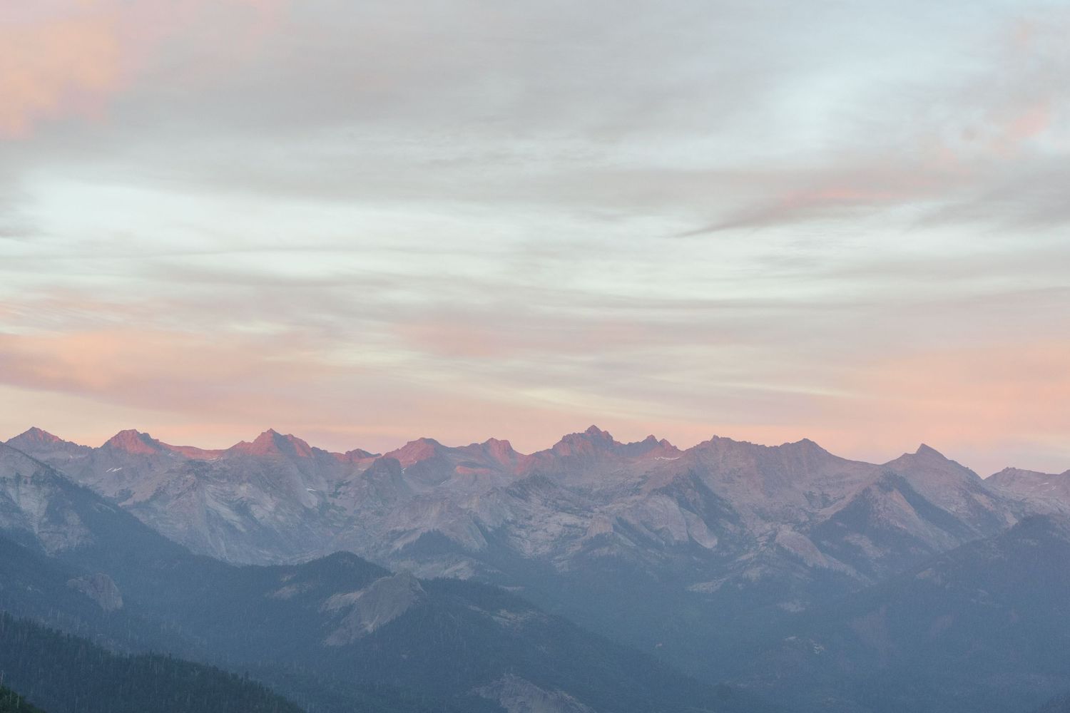 Sequoia Moro Rock Elopement, Sequoia Elopement, Séquoia Summer Elopement